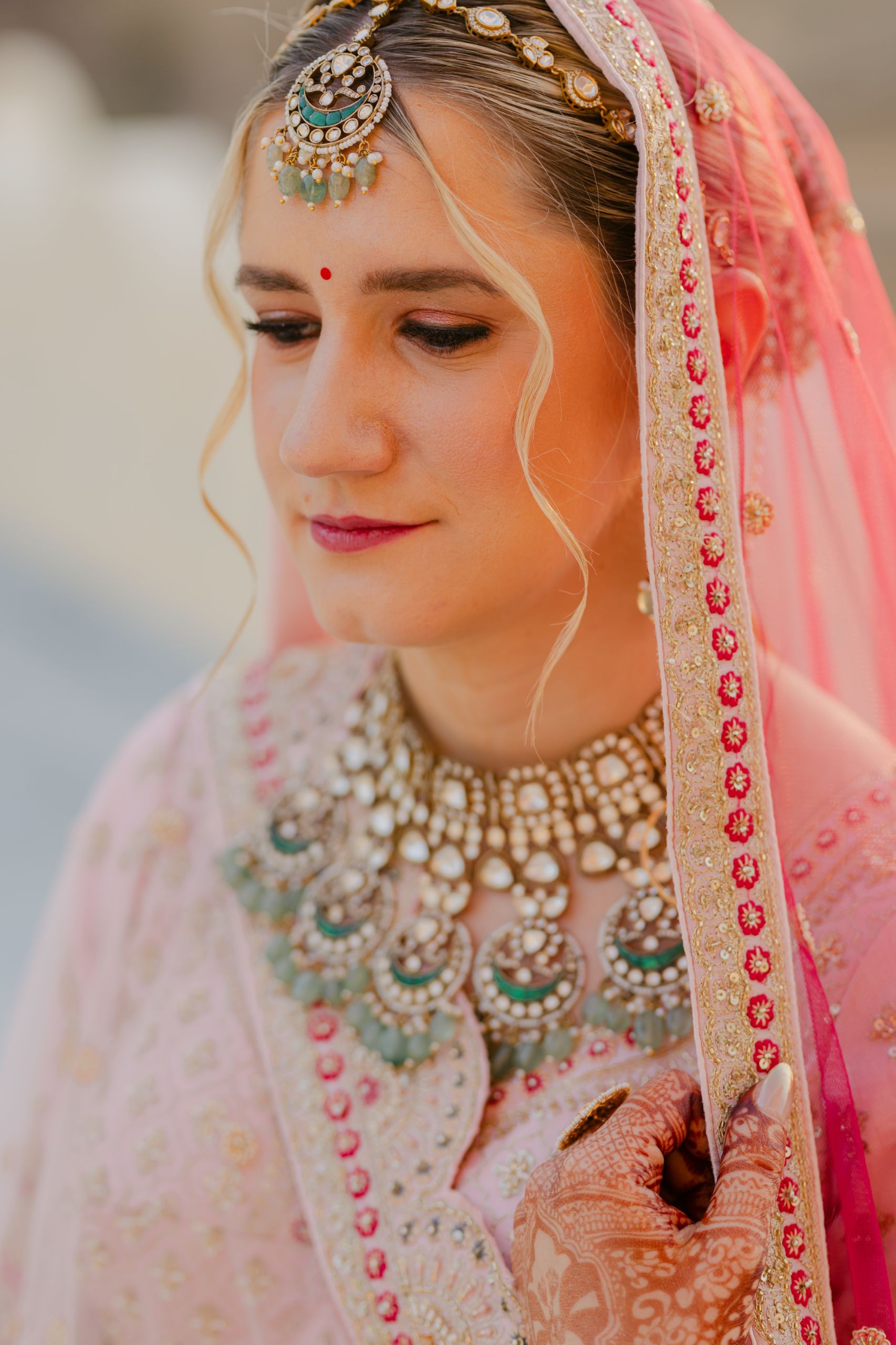 Pushkal & Vanessa